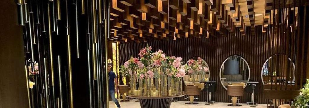 صورة المشروع 1 من LINABEAUTYCENTER